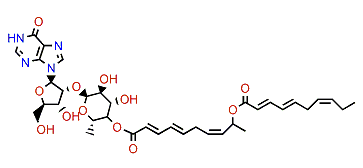 Shimofuridin F